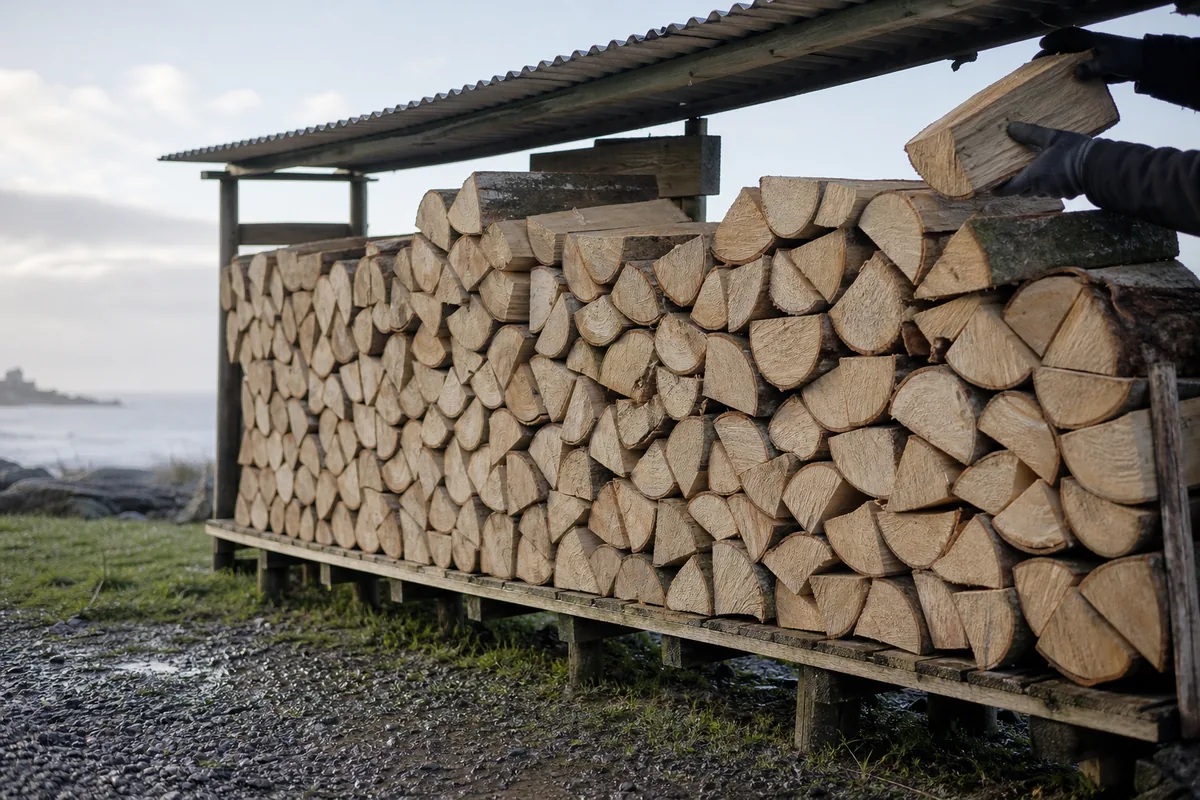 Rangée de bûches empilée sur palettes sous une tôle, côtés ouverts, lumière rasante d&rsquo;hiver